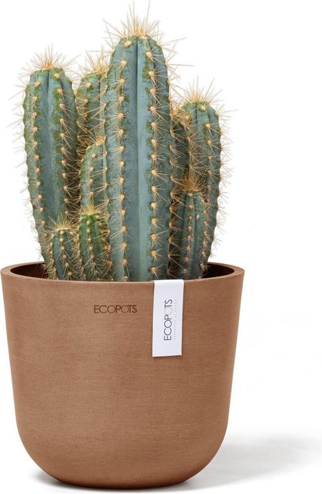 Immagine prodotto Ecopots Oslo Mini (16 cm)