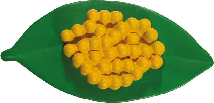 Immagine prodotto HCM Kinzel Ciclo di vita della coccinella