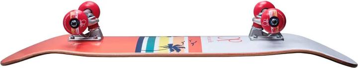 Immagine prodotto Ocean Pacific Skateboard completa Sunset 8 2023