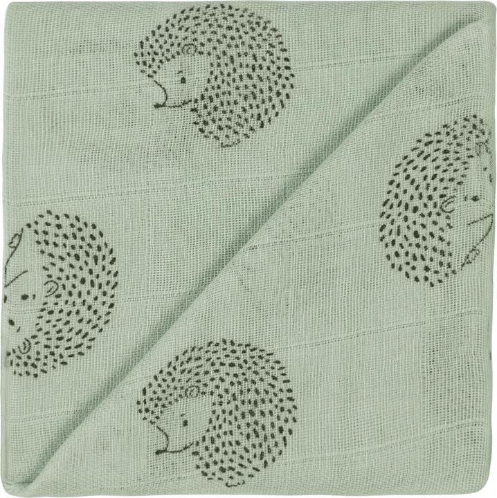 Eucalyptus
