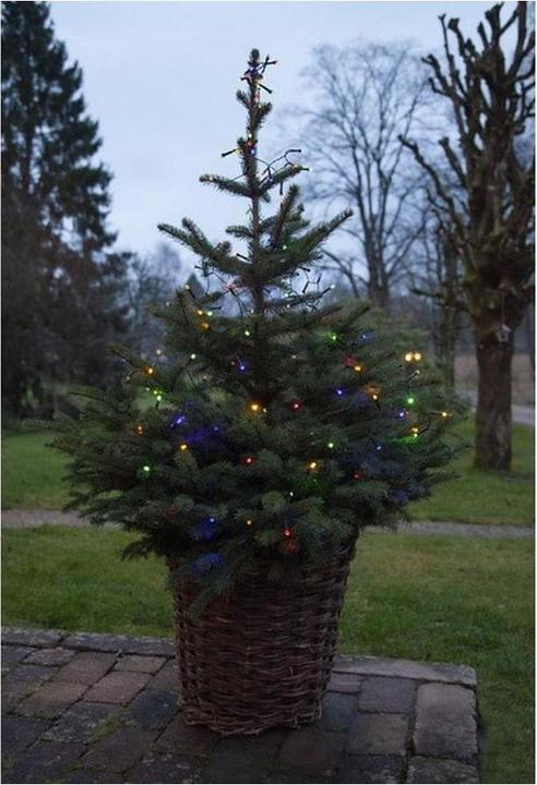 Produktbild Star Trading Diamond Star Light (6 m)