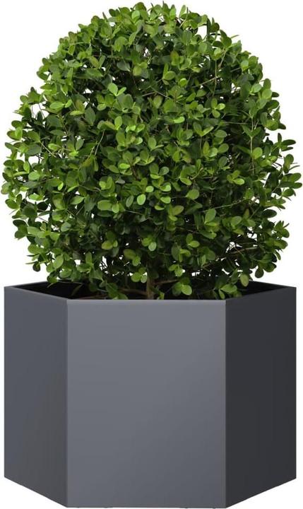 Produktbild vidaXL Pflanzkübel