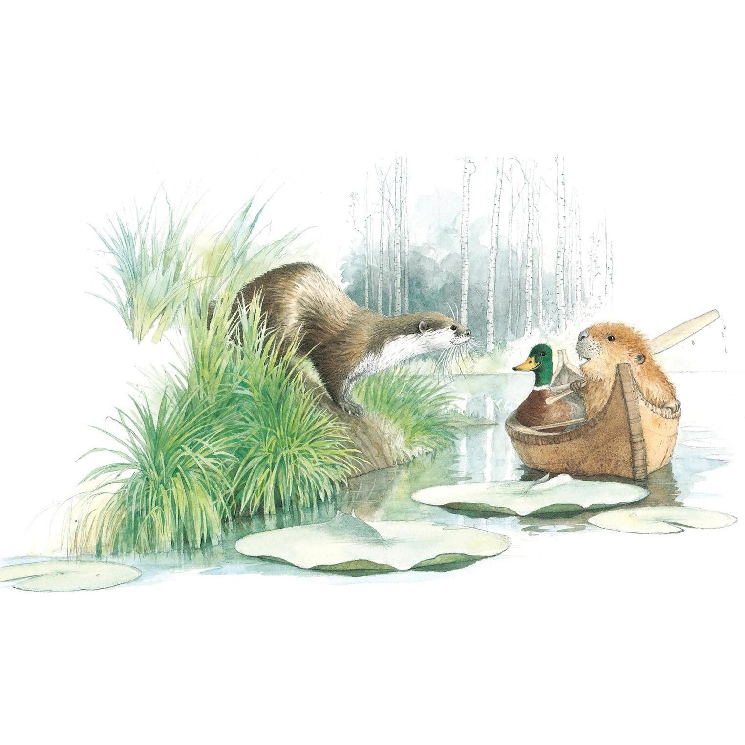 Thumbnail - Der kleine Biber und das Echo, Kinderbücher von Amy MacDonald