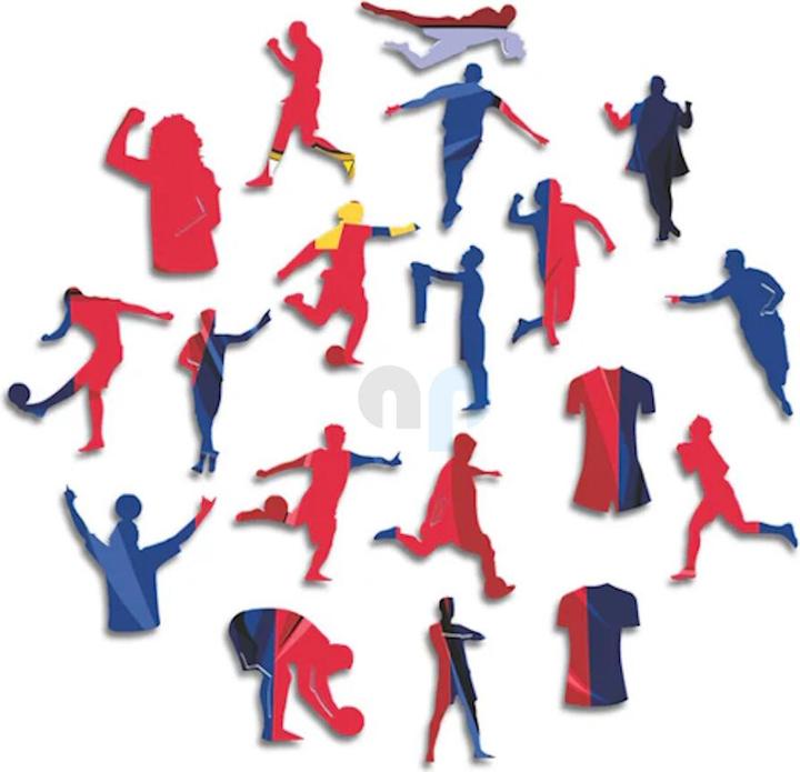 Actual product image Iconic FC Barcelona - Jersey - Wooden Puzzle Size L (500 pieces) (500 pieces)