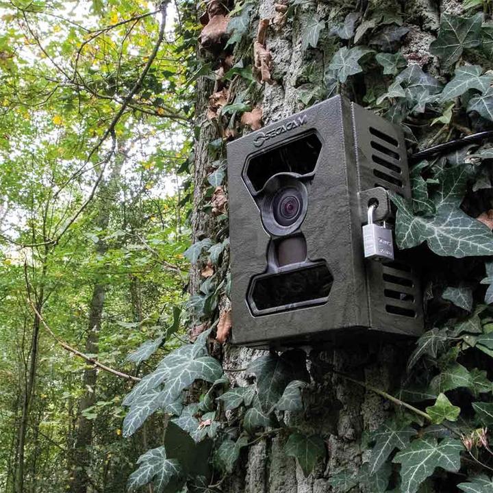 Produktbild Secacam Wildkamera, Grün-texturiert