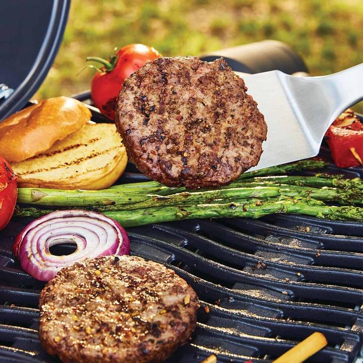 Actual product image Napoleon Grills TravelQ 240 (2.60 kW)