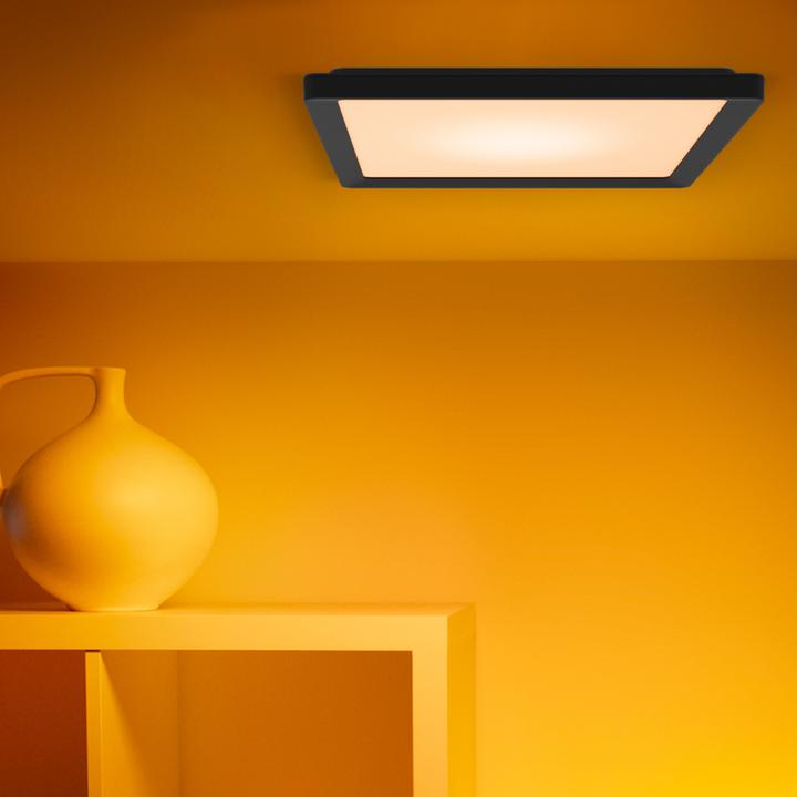 Image du produit WiZ Ceiling (2200 lm)