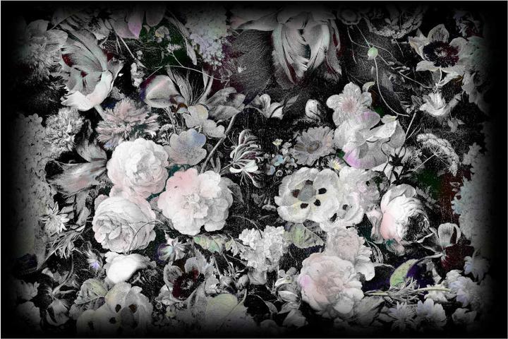 Produktbild Moooi Eden Queen B&W Teppich (300 x 400 cm)