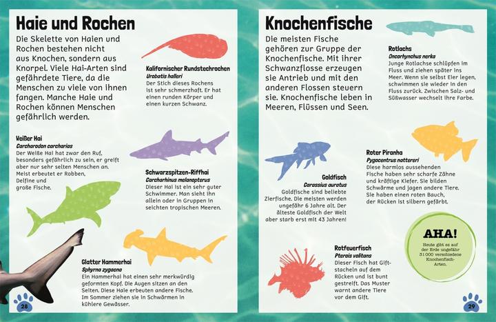 Actual product image Sticker-Lexikon. Tiere (German, Eva Sixt, 2021)