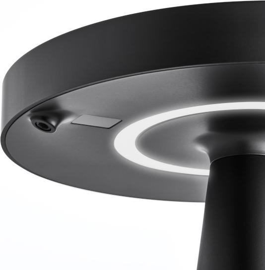 Actual product image Lexon Mano