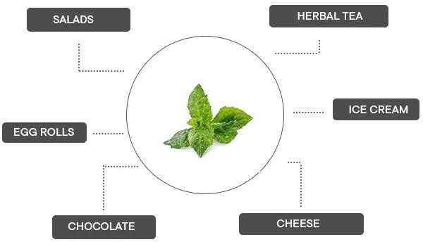 Produktbild Véritable 3760262511085 (Kräutersamen)