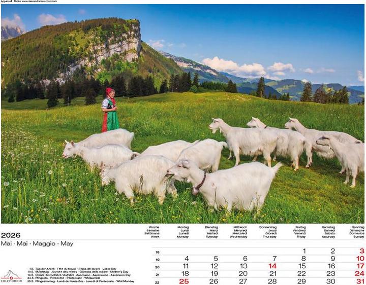 Produktbild Schweiz-Suisse-Svizzera-Switzerland 2026 (40 x 31 cm, Harter Einband, Französisch, Deutsch, Englisch, Italienisch)