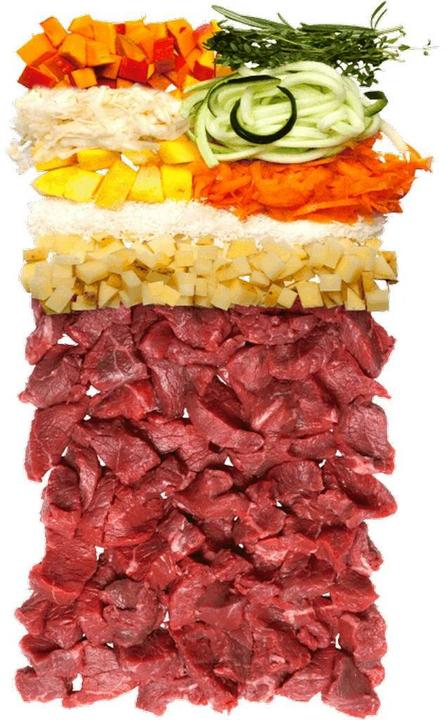 Actual product image Terra Canis Dry dog food (Adult, 1 pcs., 2500 g)