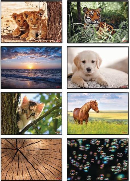 Produktbild Kolma Schreibunterlage Poster (Löwe) 50 x 34 (50 x 34 cm)