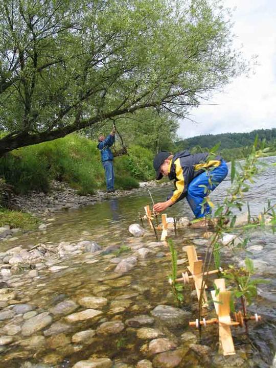 Image du produit Kraul Roue à eau