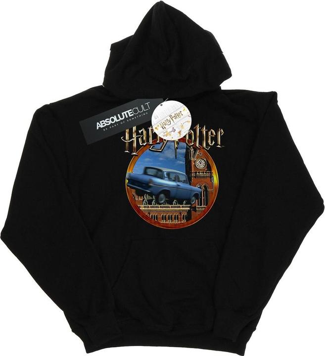 Image du produit - Sweat à capuche FLYING CAR - Garçon (128)