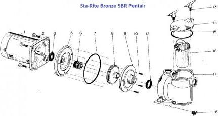 Produktbild Sta-Rite Bronze Pumpe BRF-3 1,5PS 1,1kW 400V