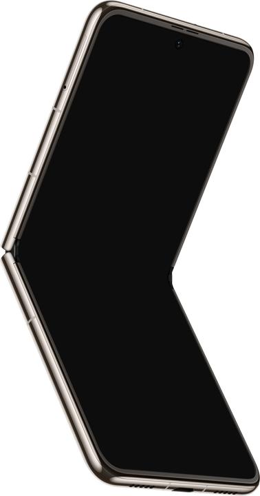 Produktbild Huawei P50 Pocket (512 GB, Premium Gold, 6.90", Dual SIM, 4G)