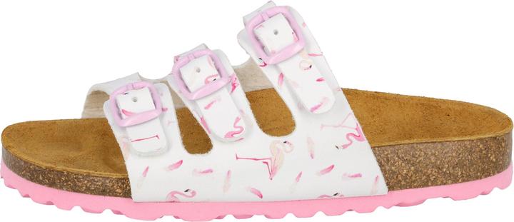 Actual product image Lico Bioline flaminco (34)