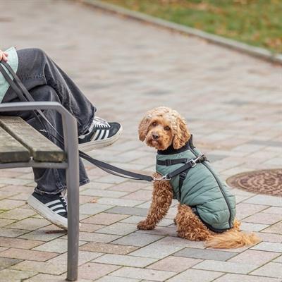 Image du produit Trixie Pontis coat with harness, S: 40 cm, sage (S, Manteau pour chien)