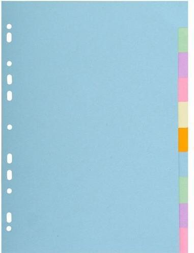 Image du produit Exacompta Intercalaire A4+ en carton recyclé 170g, 10 onglets, pastel