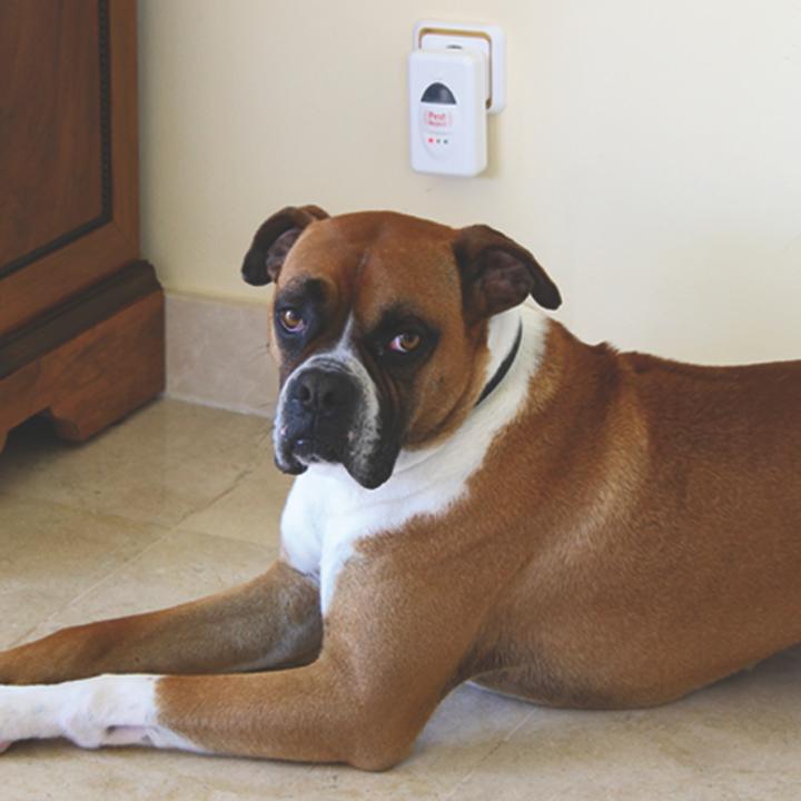 Image du produit Conrad Components Répulsif à ultrasons