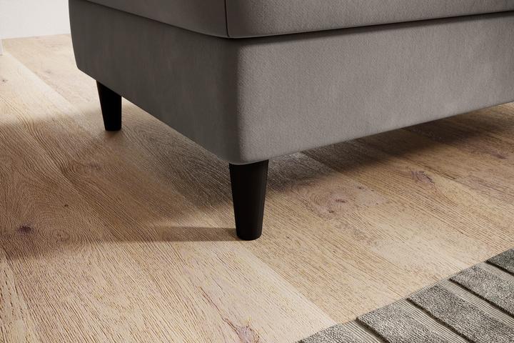 Actual product image ELTAP Bellis