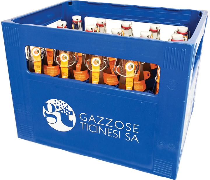 Fizzy Mandarine PET (24 x 50 cl)