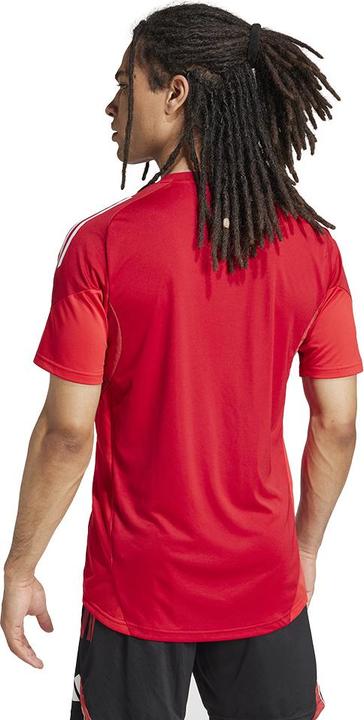 Actual product image adidas Tiro25c jersey (L)