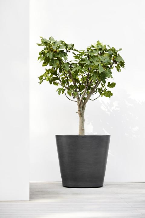 Image du produit Ecopots Amsterdam Wheels (80 cm)