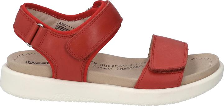 Produktbild Westland 25401-410 (38)