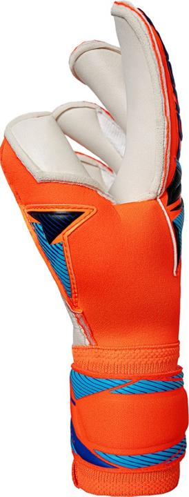 Image du produit Reusch Attrakt Duo Evolution (8)