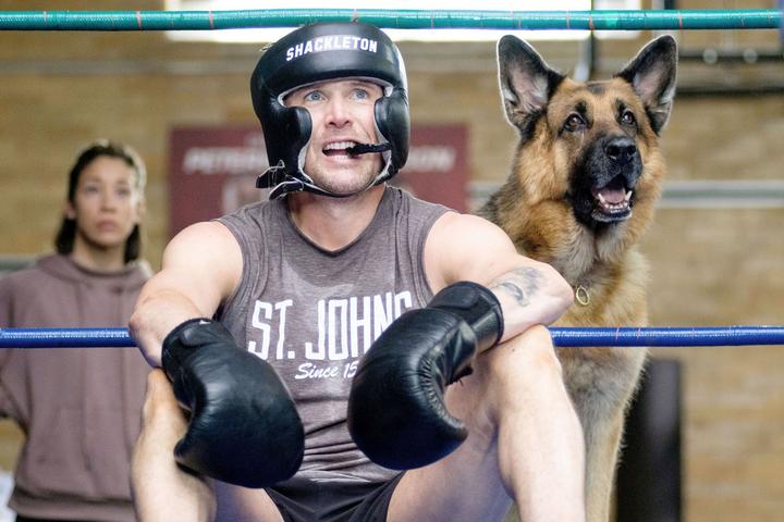 Actual product image Hudson and Rex - The complete 5th season (DVD, 2022, German)