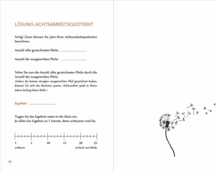 Actual product image Achtsam morden - Das Übungsbuch nach der Joschka-Breitner-Methode (German, Karsten Dusse, 2021)