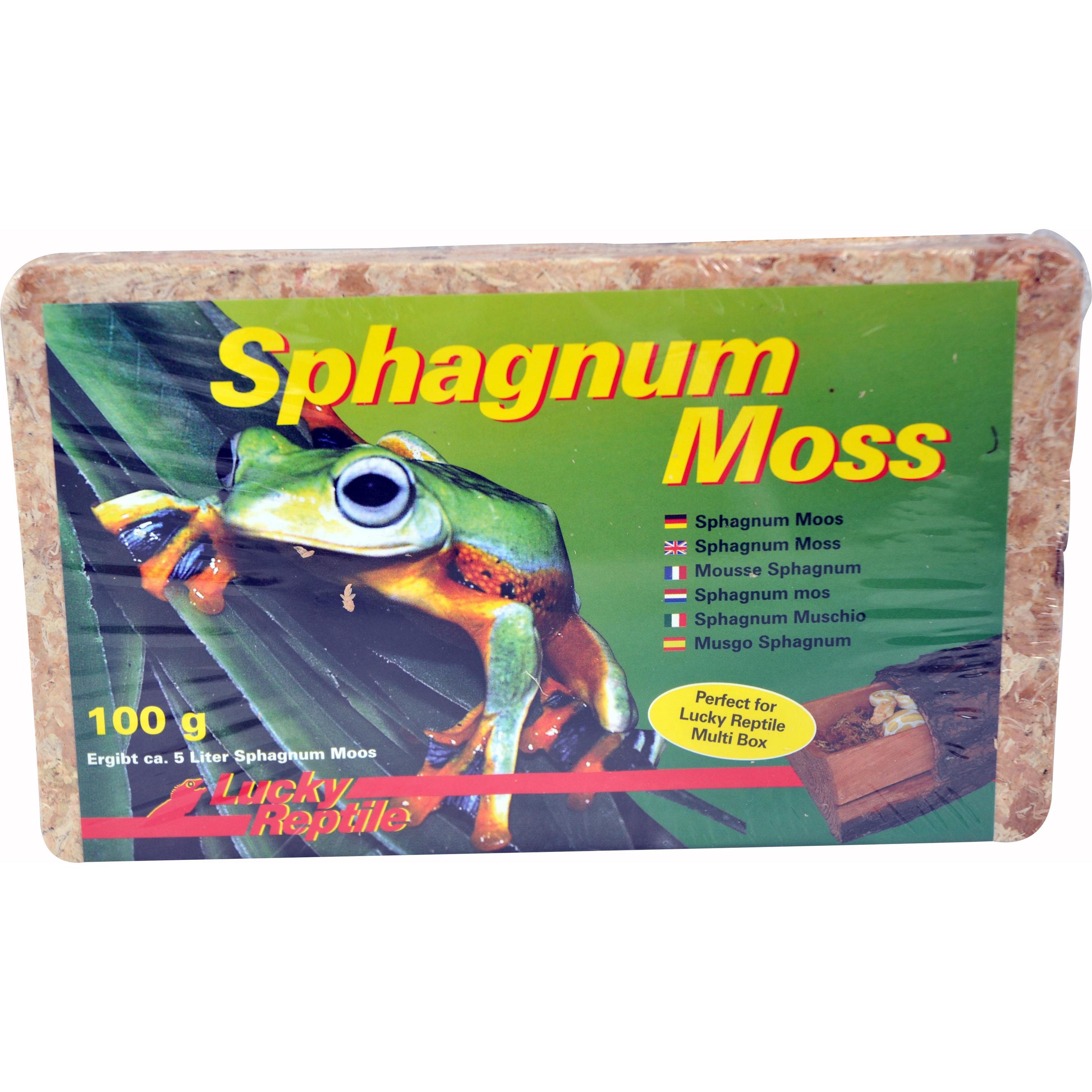 Lucky Reptile Terrarienmoos Sphagnum, Terrariumeinrichtung