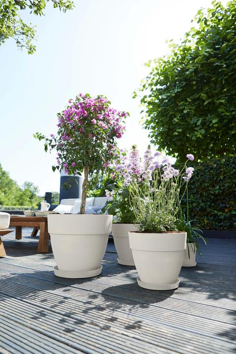 Produktbild Elho Vibia Campana (47 x 40 cm)