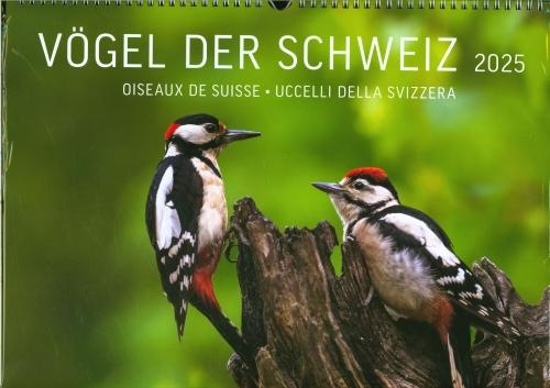 Actual product image Birds of Switzerland 2025