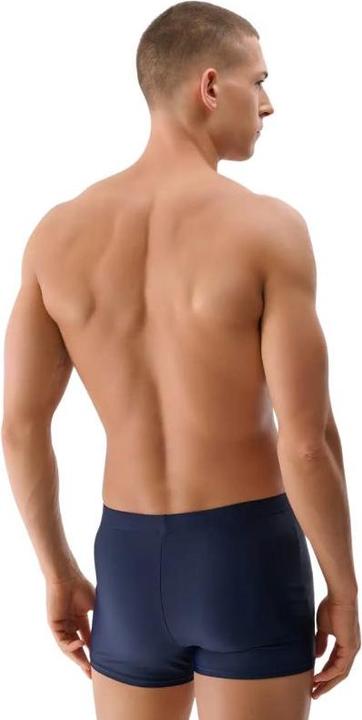 Actual product image 4F Herren-Badeshorts (L)