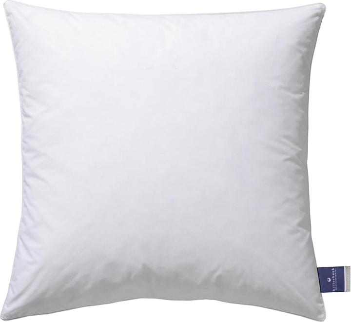Billerbeck Kissen Ambiente