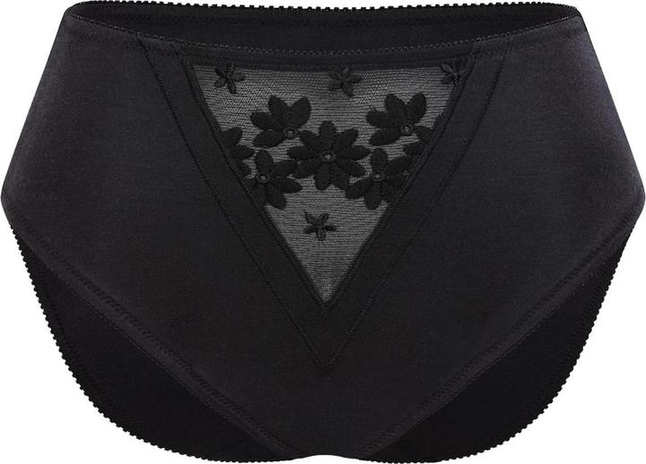 Image du produit Felina Slip de hanche Broderie suisse (42, XL, Une unité par pack)