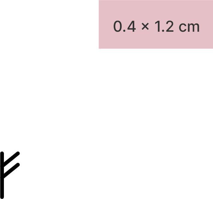 Image du produit minink Tatouage temporaire - Possession de signes runiques