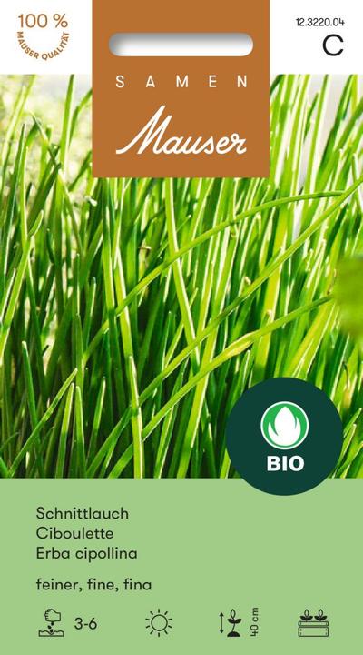 Produktbild Samen Mauser Knospe Bio Schnittlauch feiner (Kräutersamen)