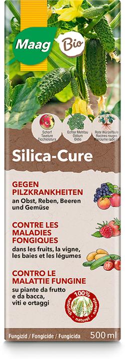 Produktbild Maag Silica-Cure (Pilze)