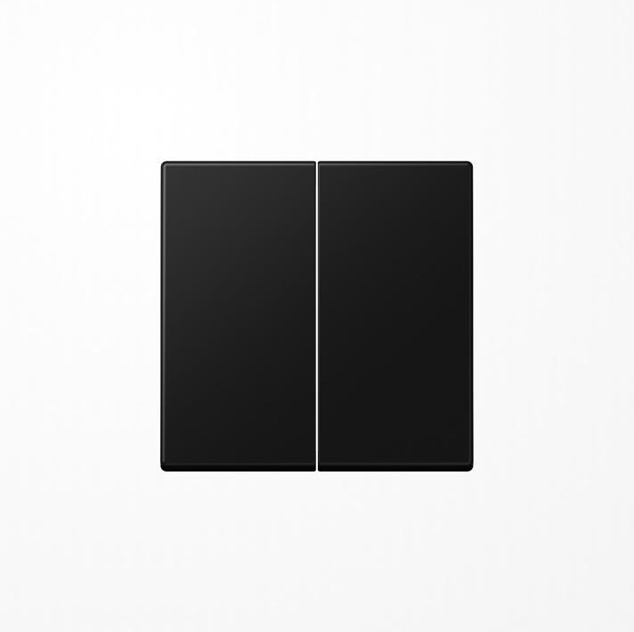 Actual product image JUNG Rocker for series switch A595SWM graphite black matt