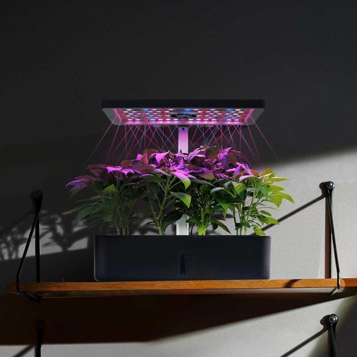Actual product image Litrax ROBIN Smart Garden 12 (35 x 26 x 30 cm)