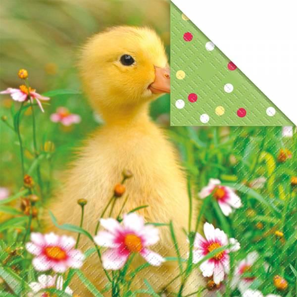 Stewo Servietten Stefan (20 x, 33 x 33 cm)