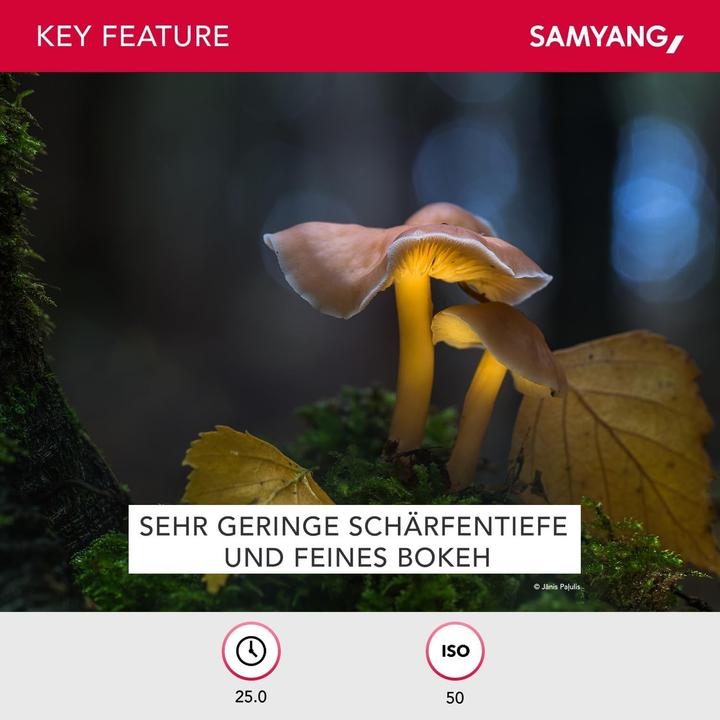 Produktbild Samyang 135mm f/2 - f/22 ED UMC - Canon EF (Canon EF, Vollformat)