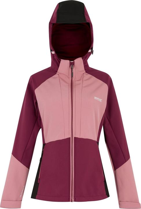 Actual product image Regatta Desoto Softshell (44, XL)
