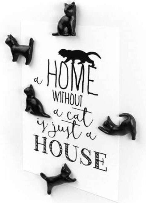 Image du produit Trendform Miaou (5x)