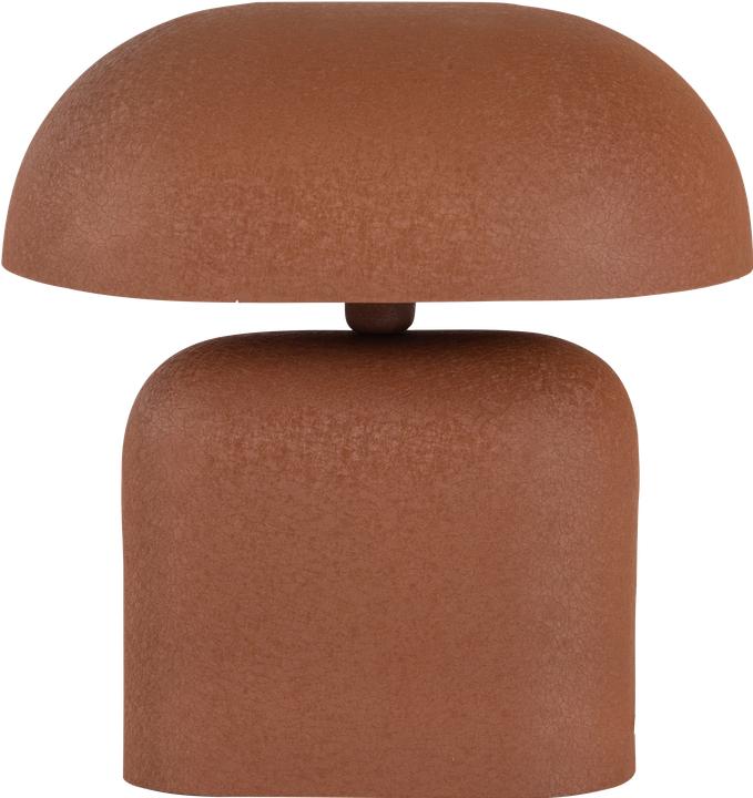 Braun